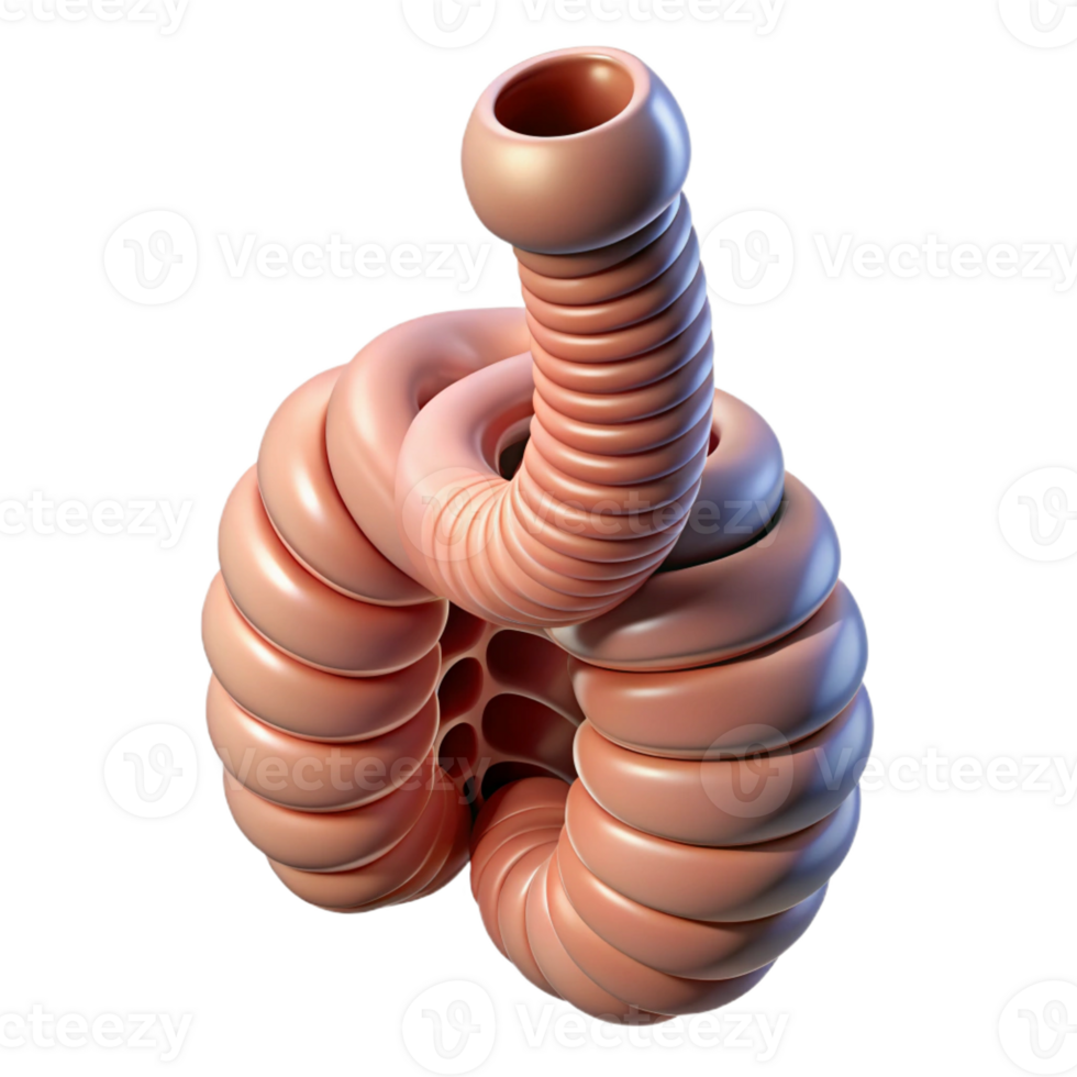 captivating organic Hyper-specific, photorealistic render of a biomechanical artificial trachea, isolated cutout with Transparent Background studio quality png