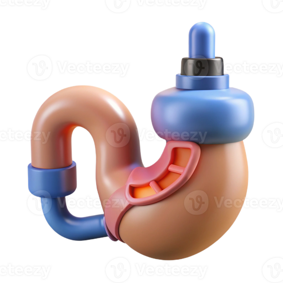 breathtaking exceptional Hyper-specific, concept art style, isolated cutout of a biomechanical stomach with integrated digestive enzymes dispenser with Transparent Background png