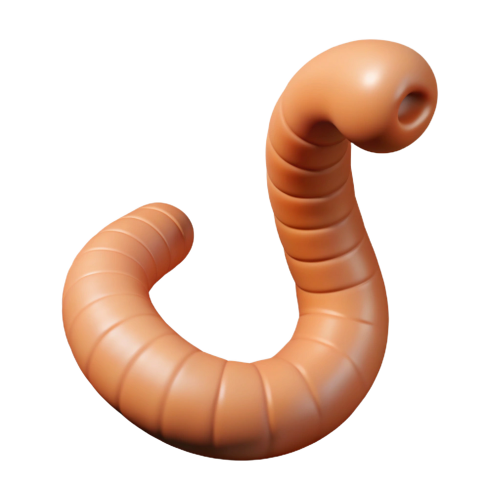 beautiful remarkable Earthworm with Transparent Background png