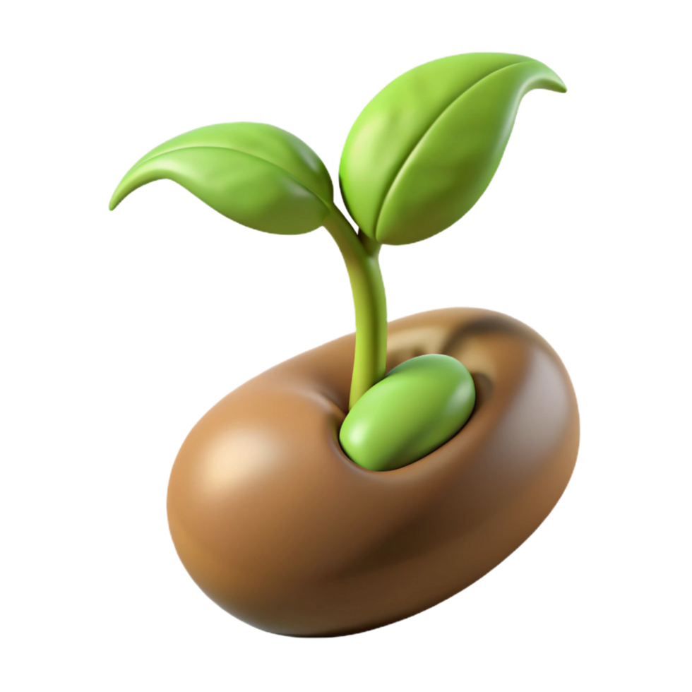 calm hypnotic Hyper-specific professional render of a single, sprouting bean seed with emerging root and shoot Isolated cutout with Transparent Background expertly shot png