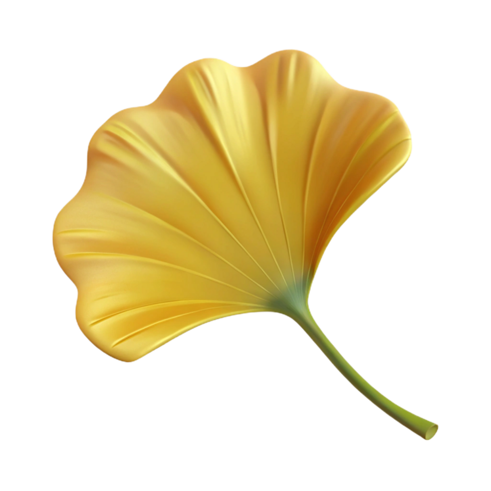 alluring iconic Ginkgo leaf with Transparent Background png
