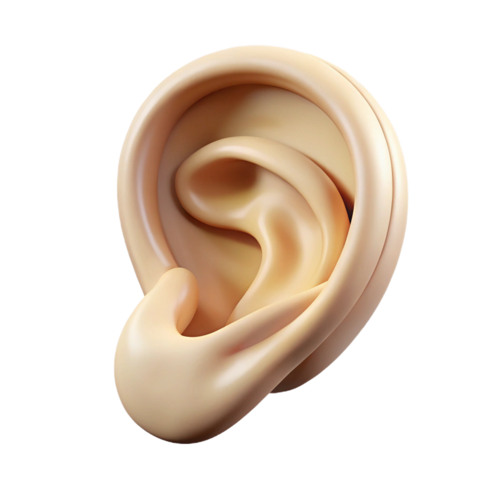 breathtaking coastal Ultra-detailed, photorealistic isolated cutout of a single, floating, human ear made of intricately carved ivory with Transparent Background high resolution png