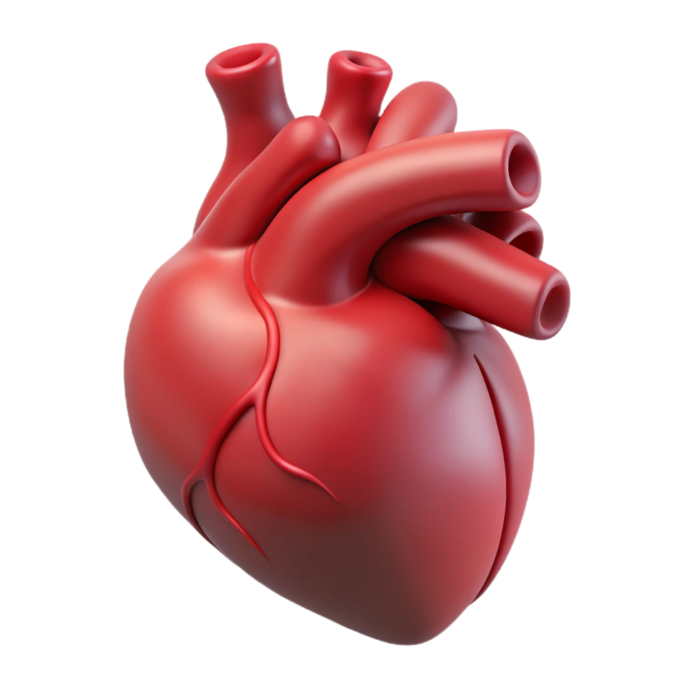 dramatic bohemian Hyper-specific, professional render of a single, photorealistic human heart, anatomical detail, isolated cutout with Transparent Background perfect clarity png