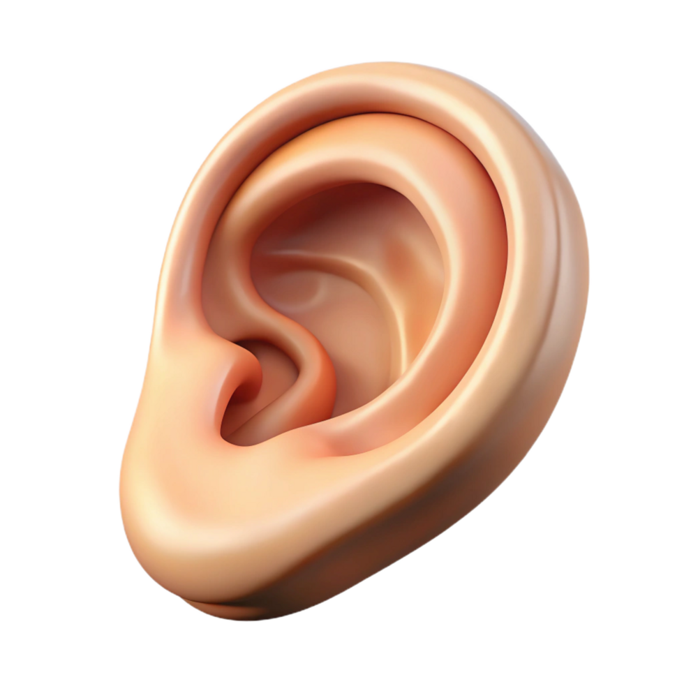 captivating peaceful minimalist Ultra-detailed photorealistic isolated cutout of a single human ear, professional render with Transparent Background detailed png