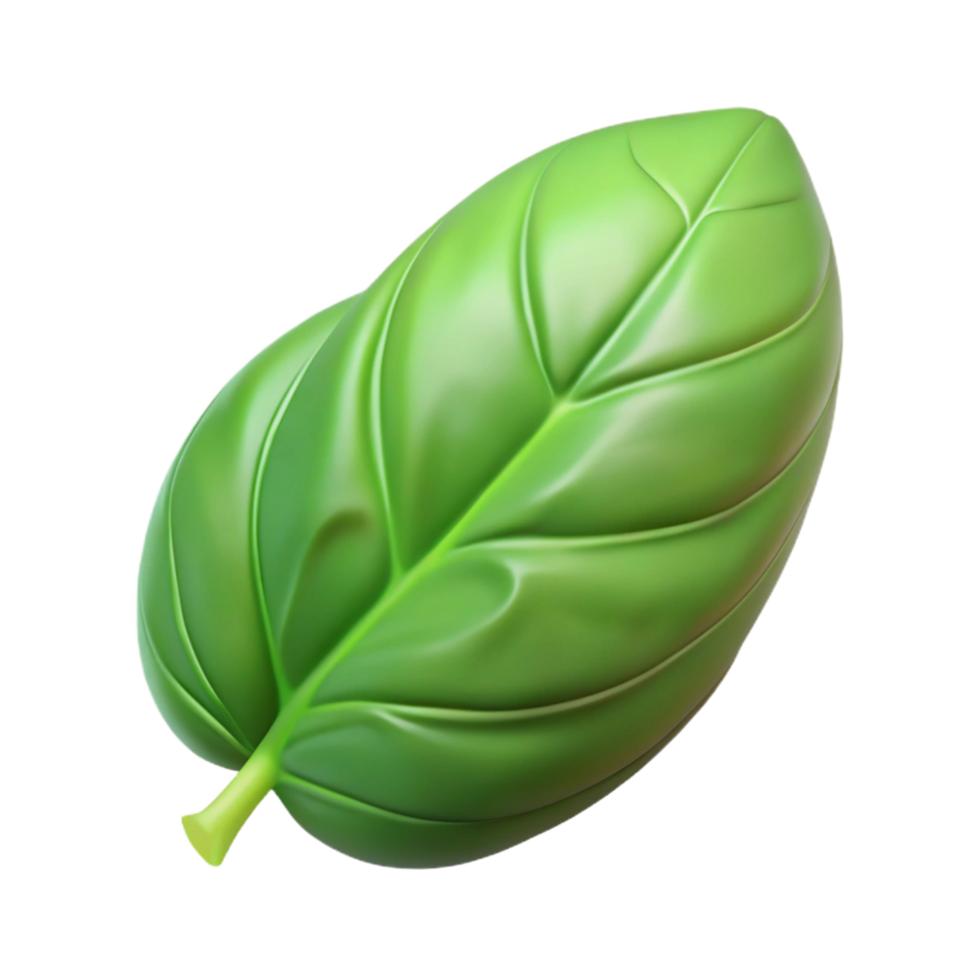 bold mesmerizing Fresh green basil leaf with Transparent Background studio quality png