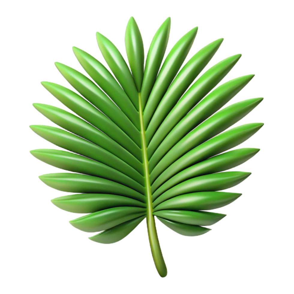 breathtaking timeless Palm tree leaf with Transparent Background png