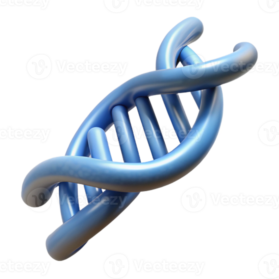 extraordinary traditional Dna Double Helix Structure Transparent Background genuine png