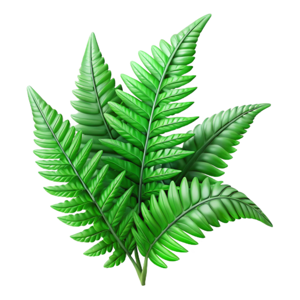 beautiful classic Fabricated Fern Cutout Transparent Background Lush Green Fronds high resolution png
