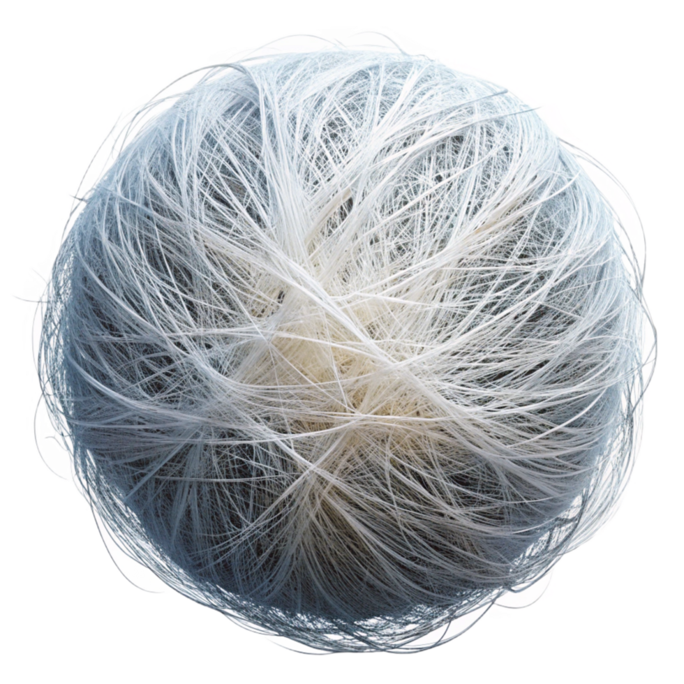 dramatic abstract Shining White Strands Web of Darkness Isolated genuine png
