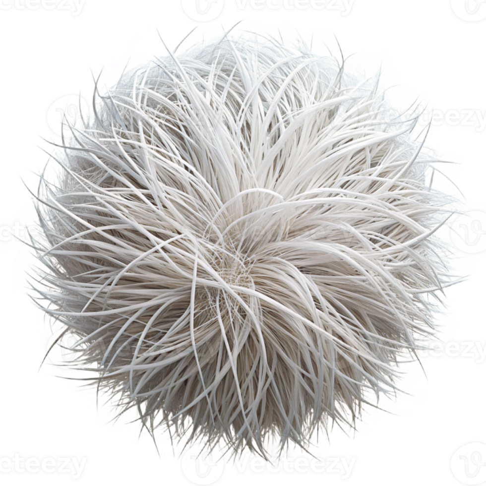 elegant traditional Shining White Strands Isolated in Darkness exclusive png