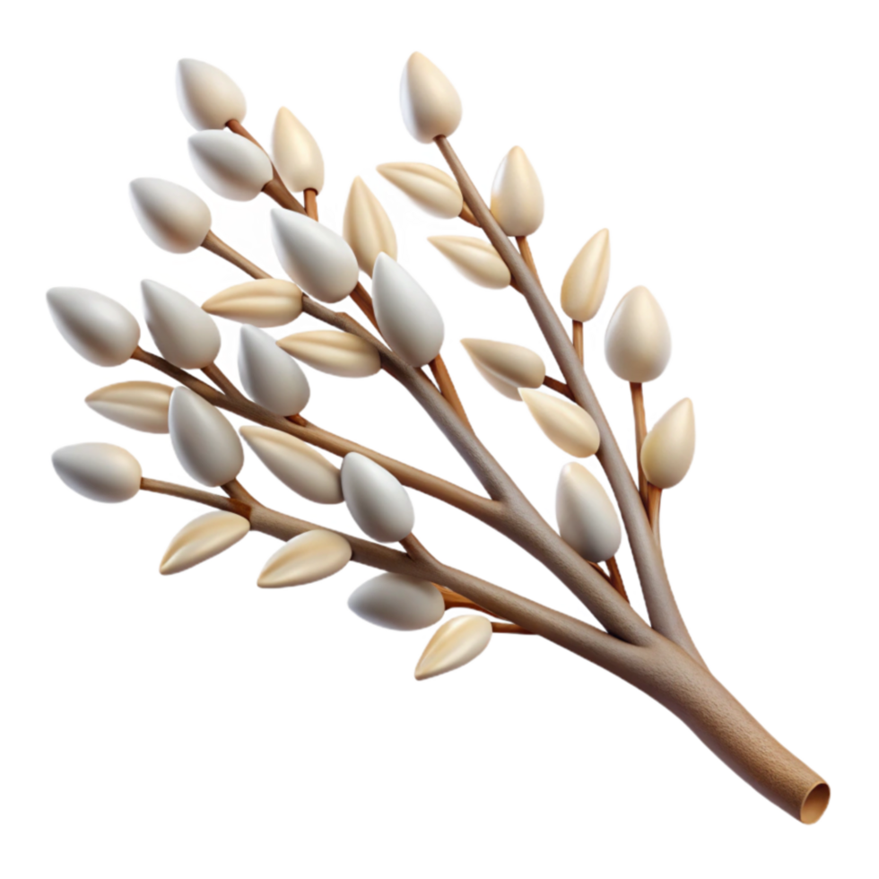 beautiful minimalist Whispering Willow Branch Cutout Transparent Background authentic png