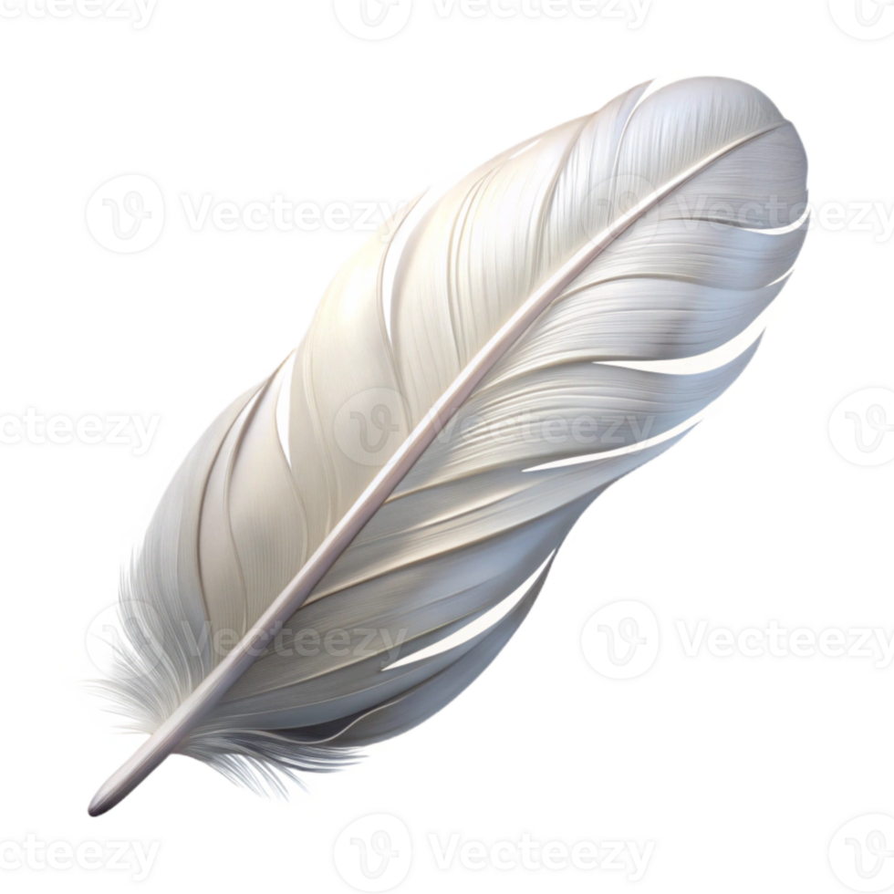 wonderful rustic White Feather Floating Cutout Transparent Background authentic png