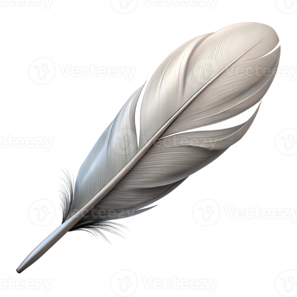 magnificent abstract Windblown Feather Isolated White Transparent Background original png