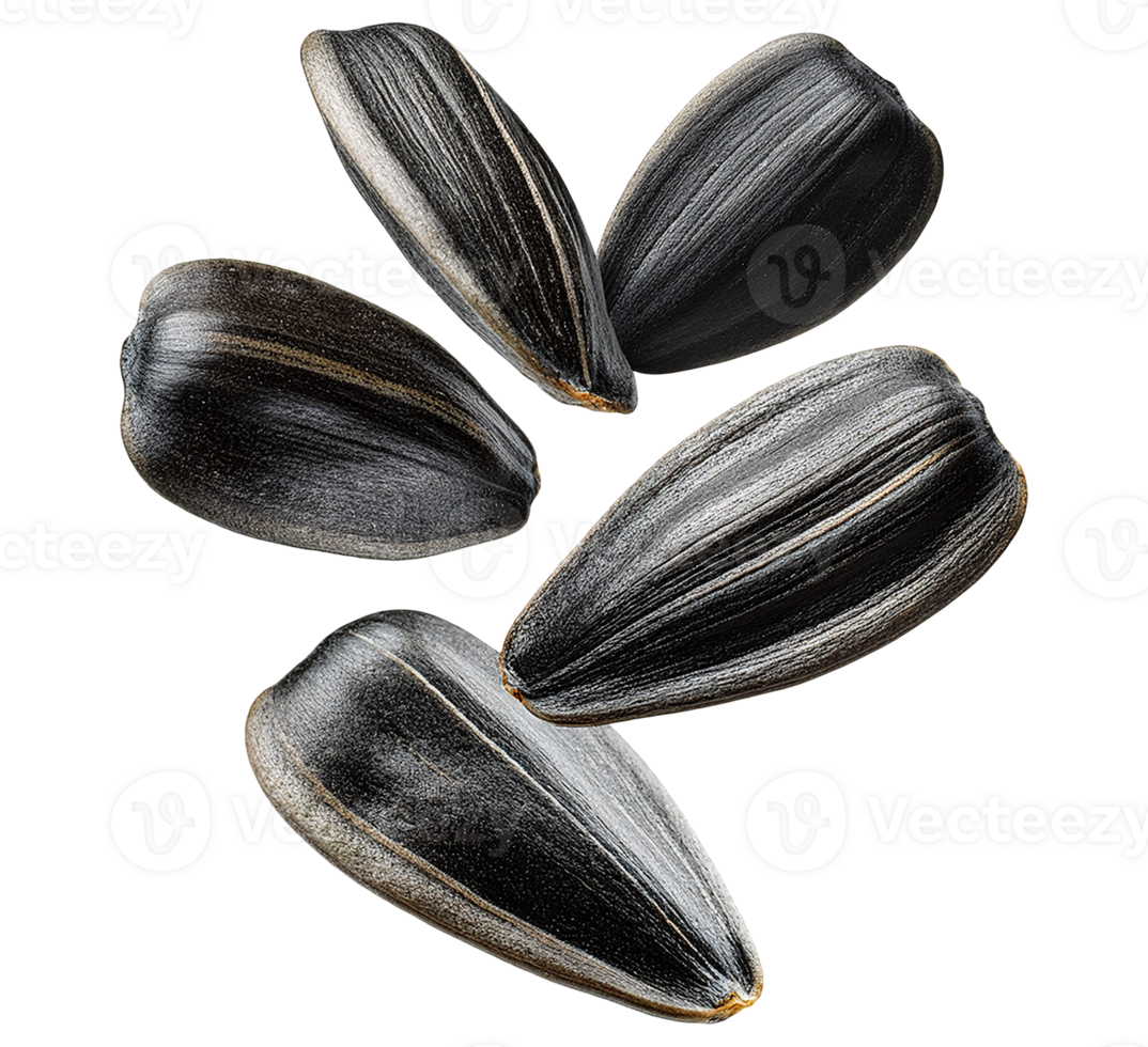 Isolated sunflower seeds object png