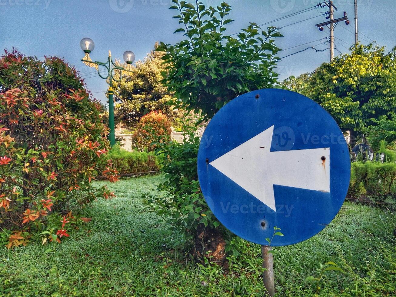 Blue Directional Sign in a Lush Green Garden photo