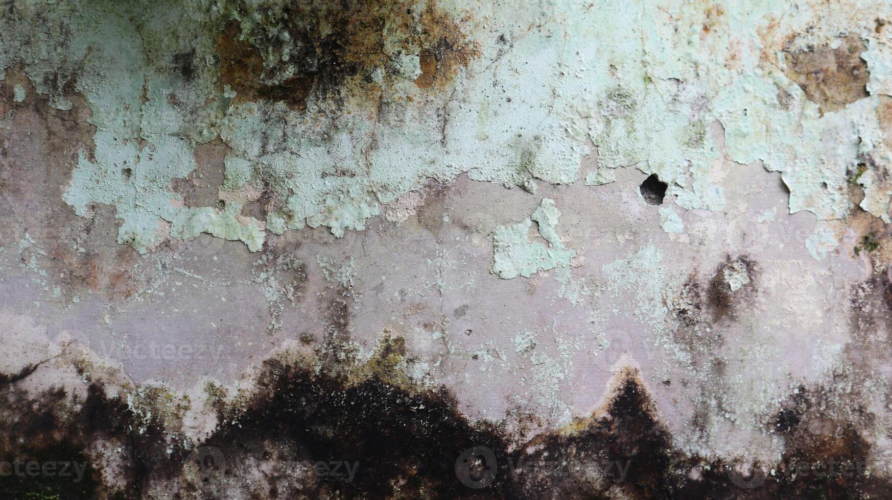 Abstract of fungus texture on the dirty wall in texture background concept photo