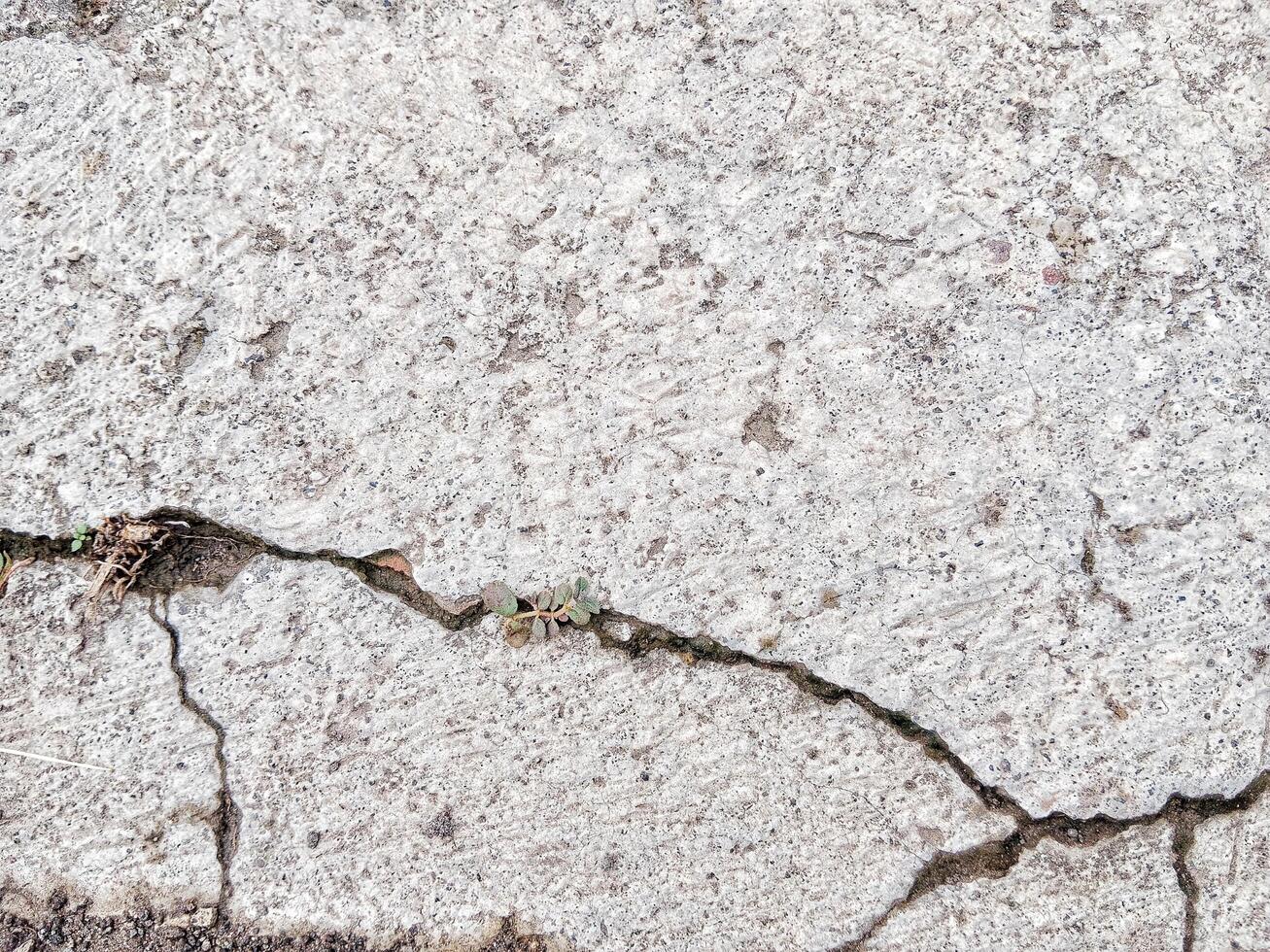 Texture of shattered concrete Natural concrete background photo