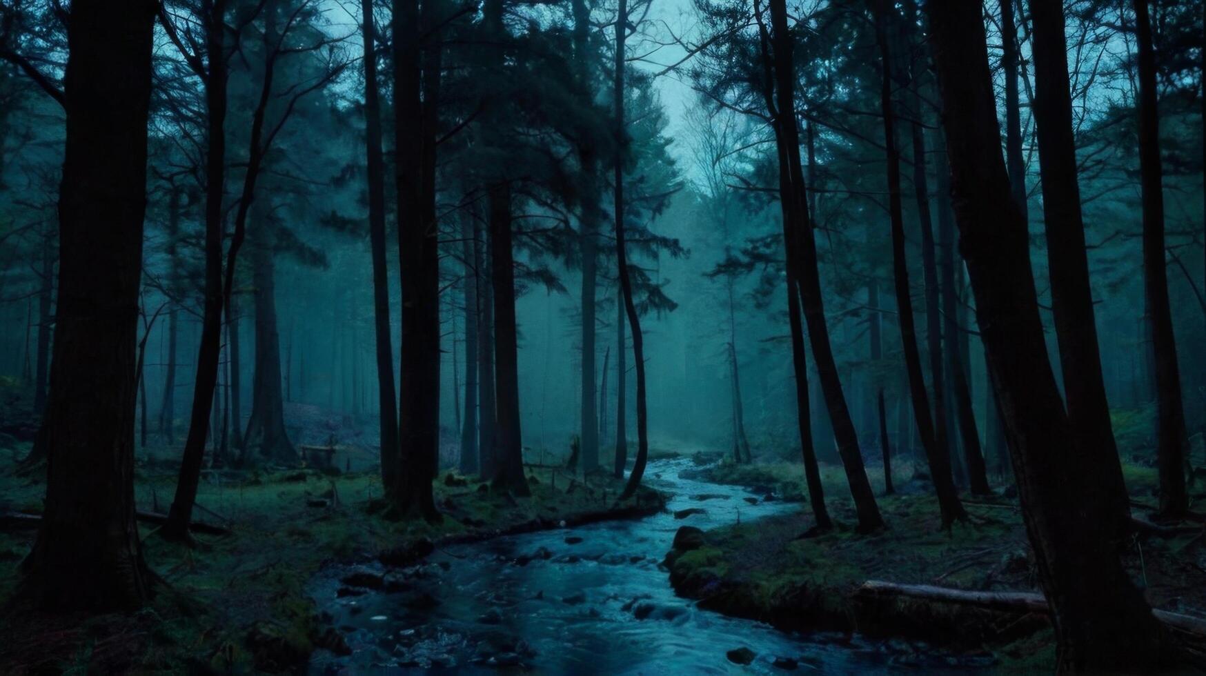 A stream runs through a dark forest at night photo