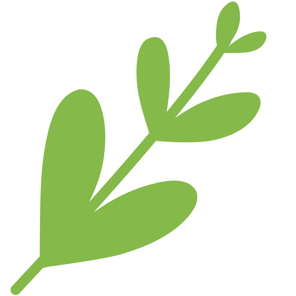 Abstract cute green Botanical Plant Shape with Modern Flat Style Design png