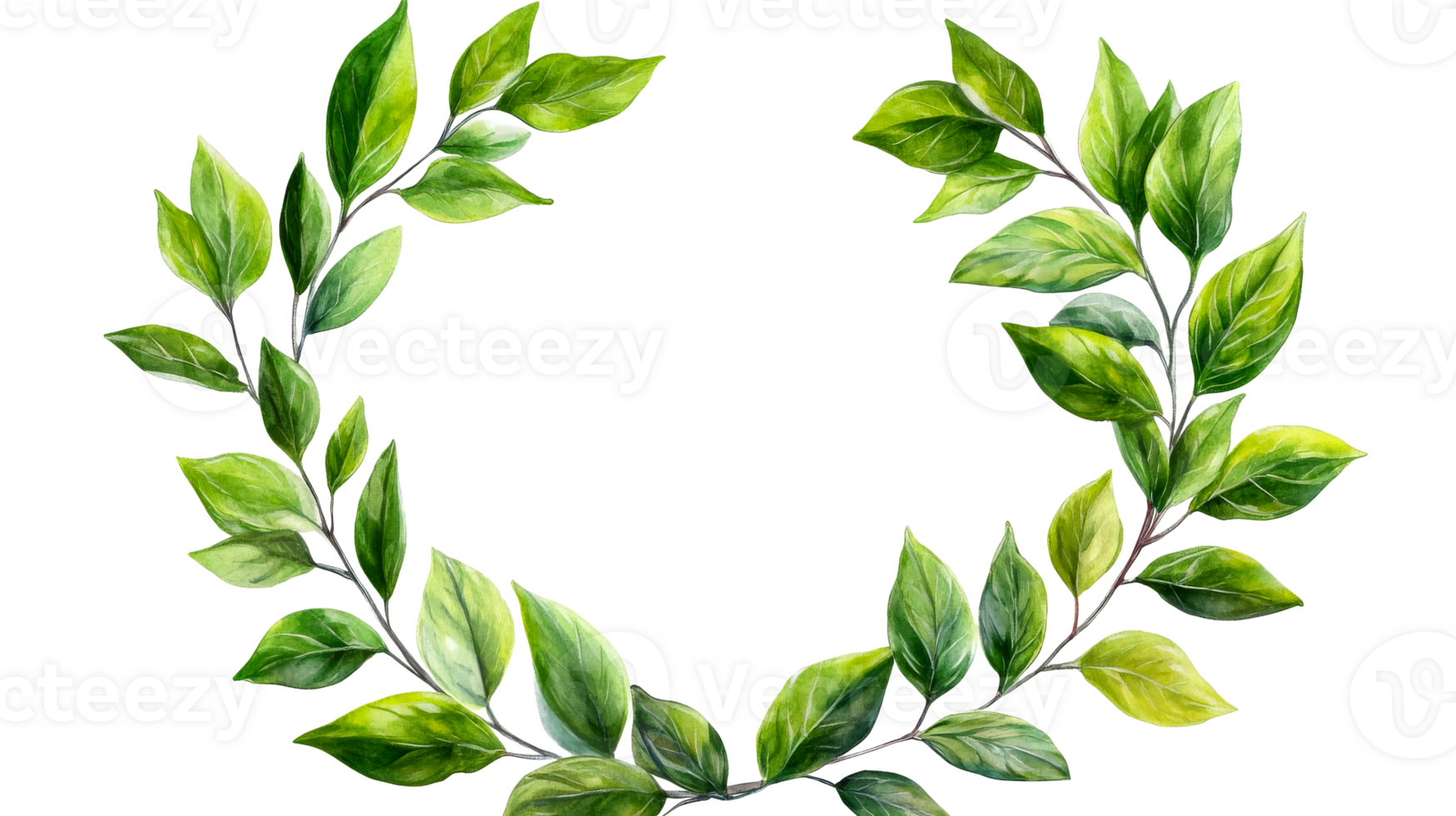Green leaves wreath decoration background, nature greenery element , cut out transparent png
