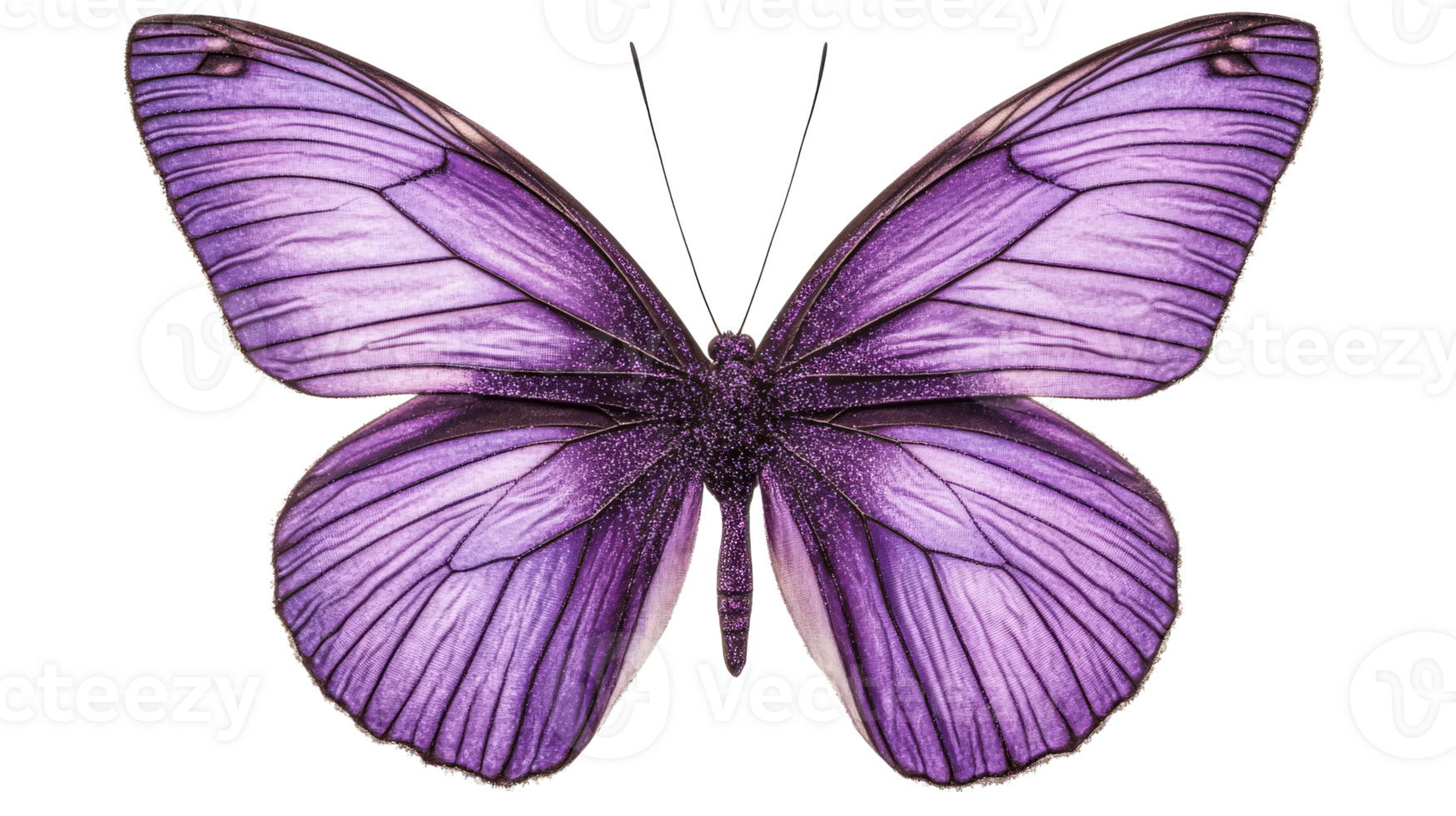 Purple Butterfly Illustration with Glitter, Wings Open, cut out transparent png