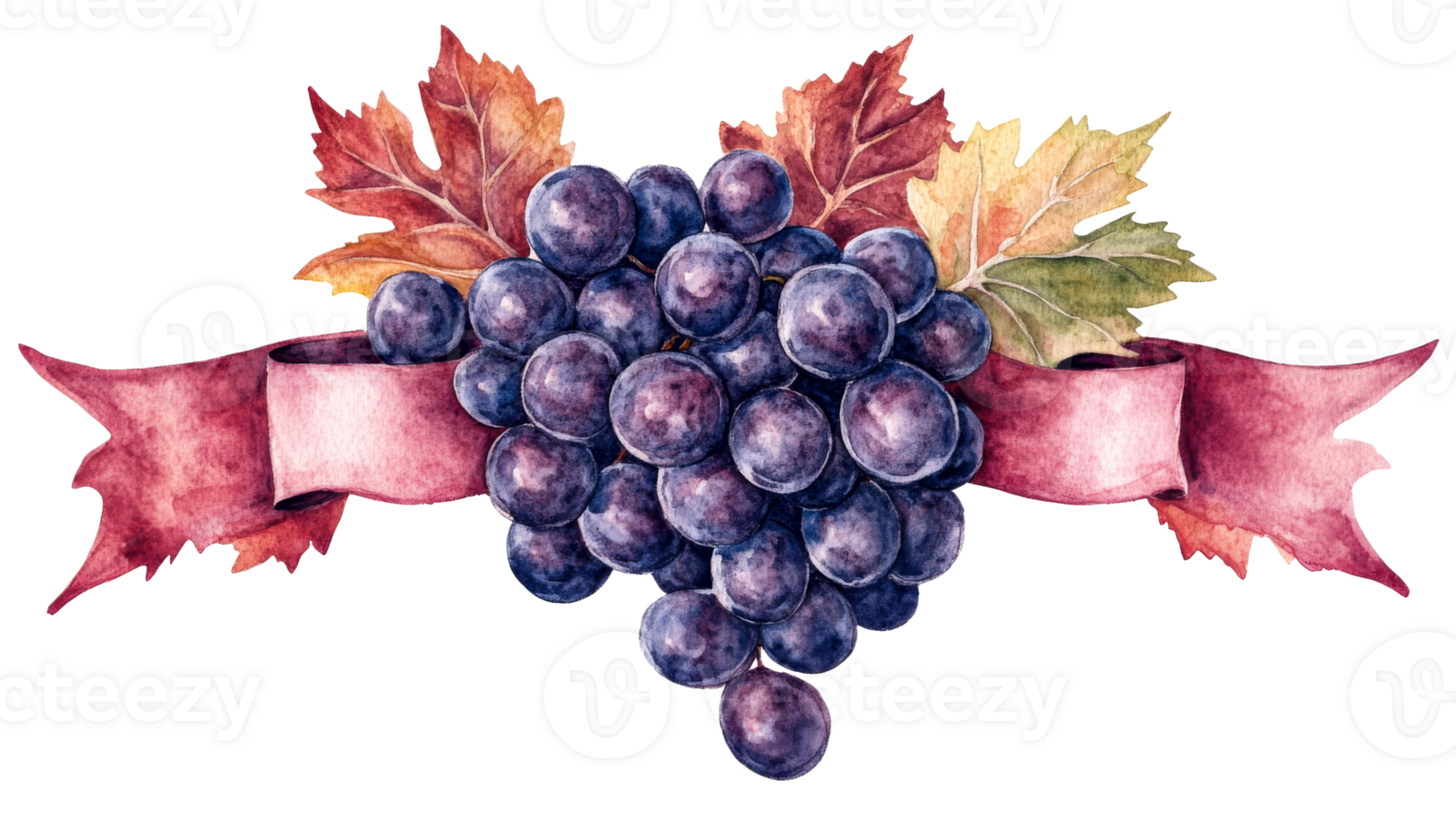 Red grape cluster with ribbon and autumn leaves, cut out transparent png