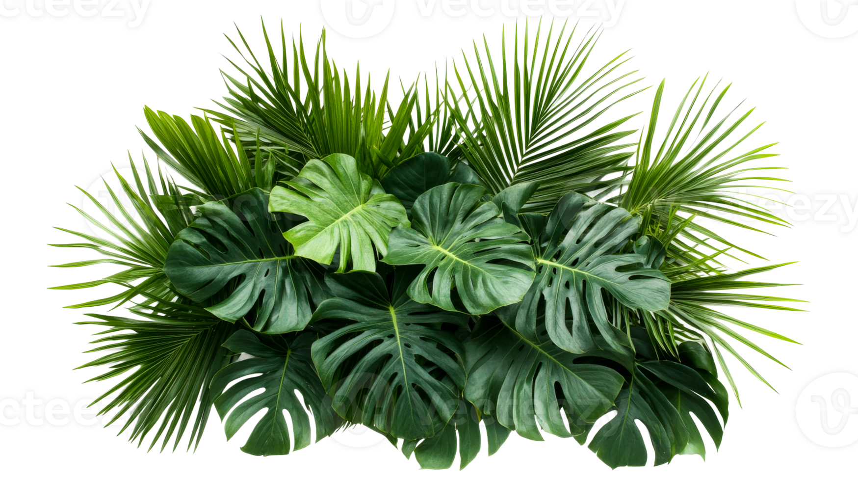 Lush green tropical foliage arrangement, isolated, monstera, palm, cut out transparent png