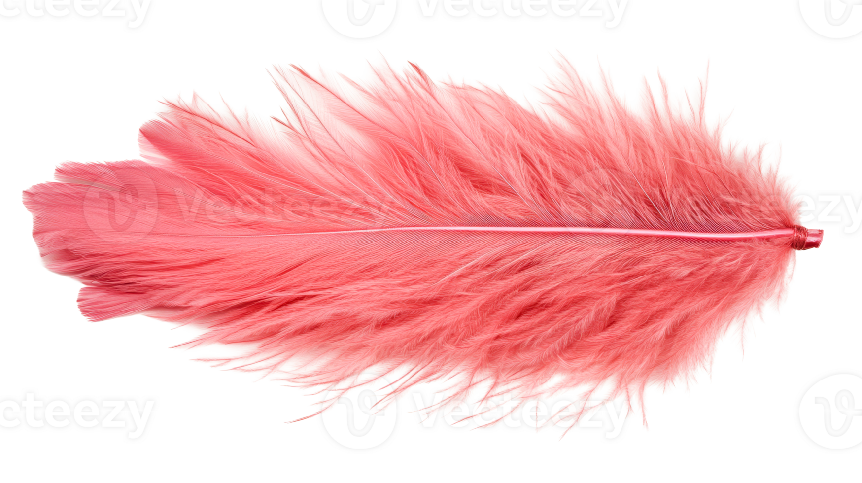Delicate pink feather, light plumage, ethereal nature, softness element, cut out transparent png