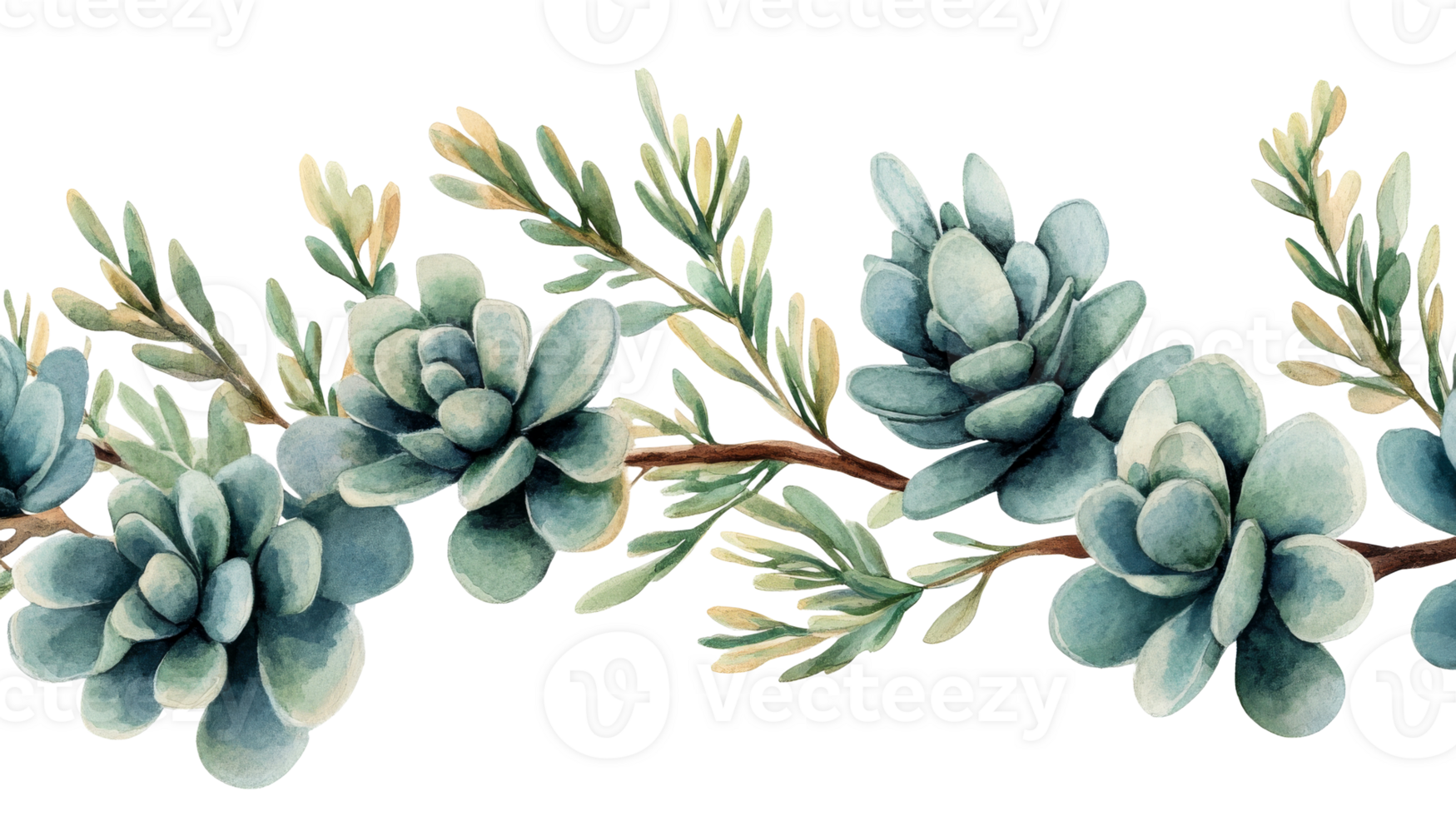 Watercolor succulent branch, green leaves pattern, foliage design, cut out transparent png