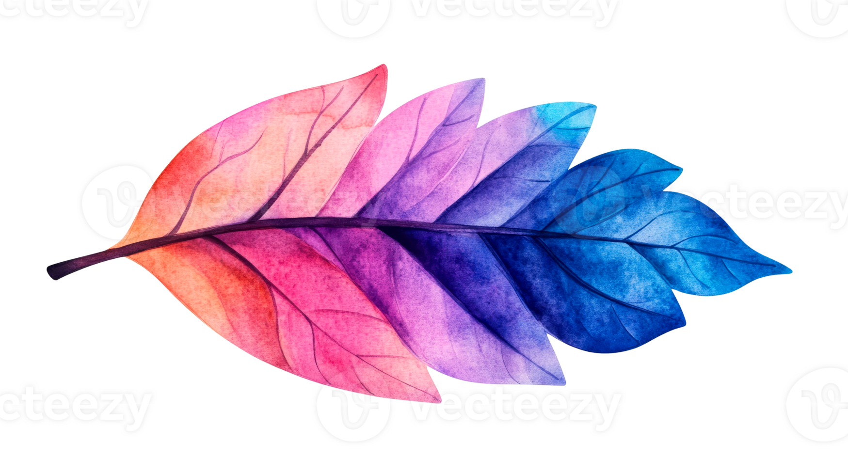 Colorful leaf with gradient shades on black background, cut out transparent png