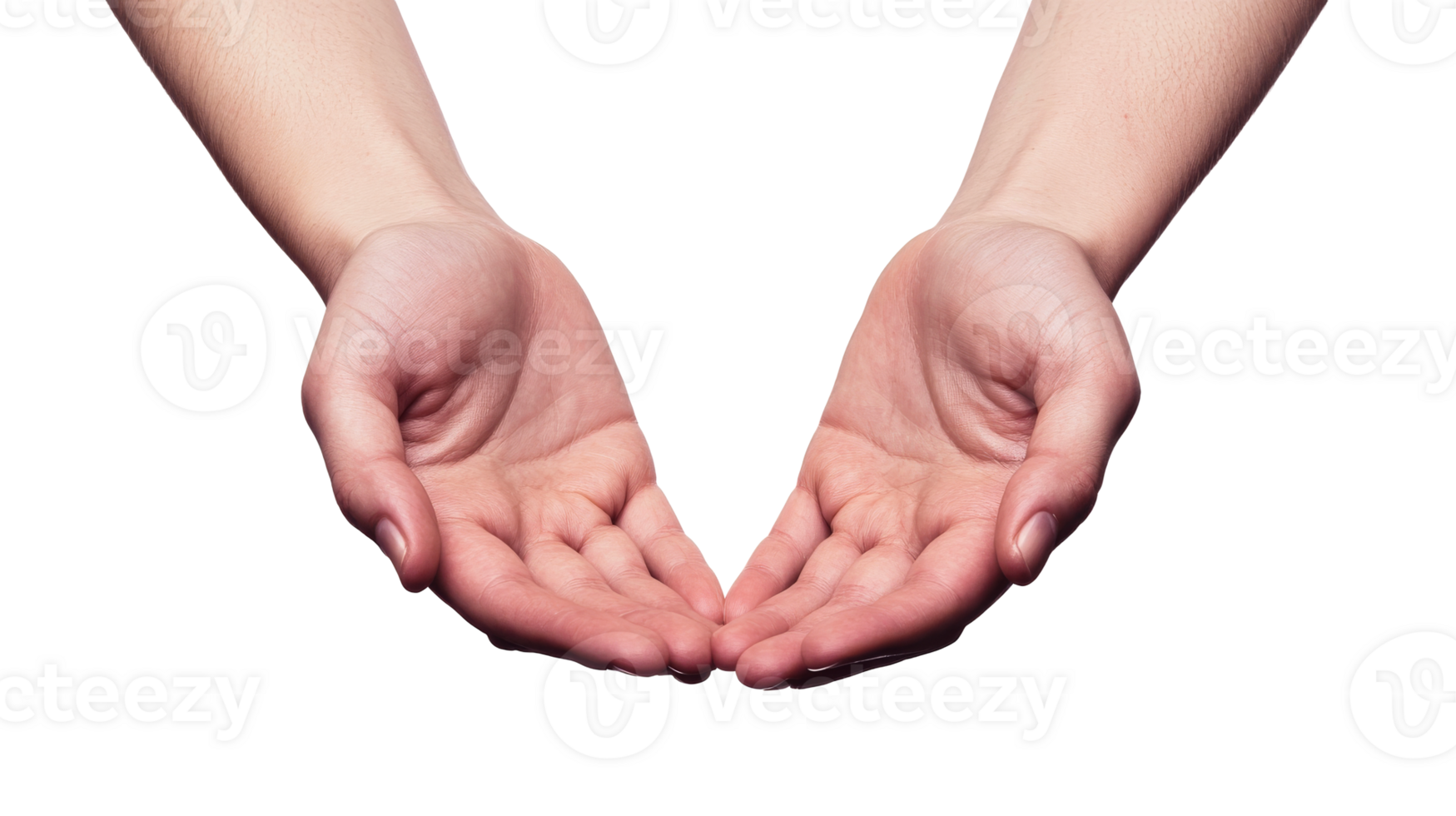 Two outstretched hands with open palms, offering gesture, cut out transparent png