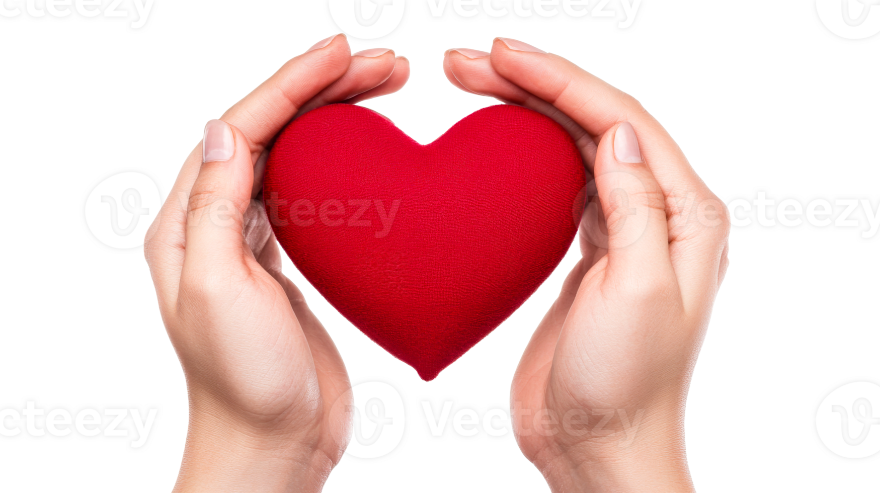 Heart in hands holding, care, love, valentines, support, help, cut out transparent png