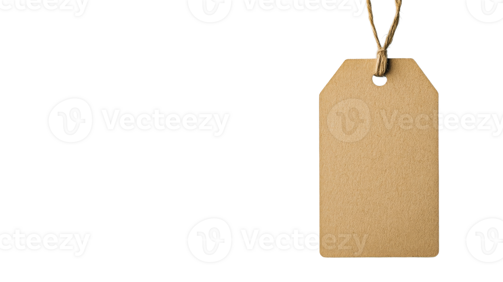 Price tag design element with rope, advertisement concept, cut out transparent png