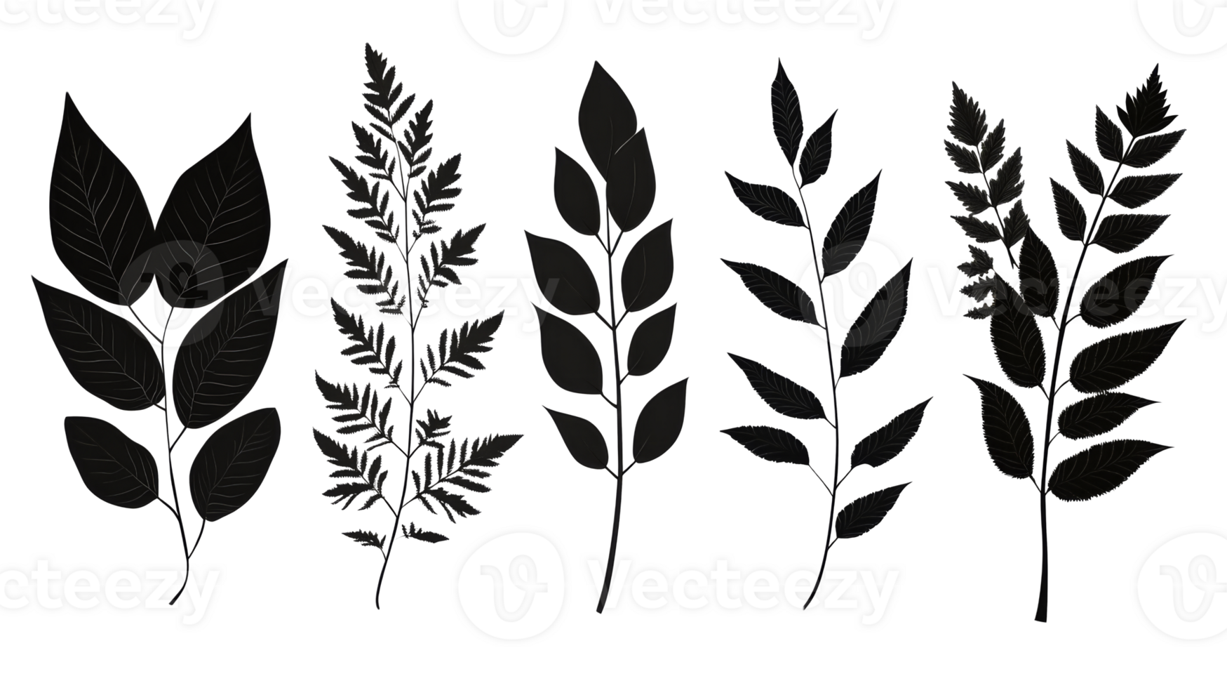 Black Leaves Assortment on Black Background, cut out transparent png