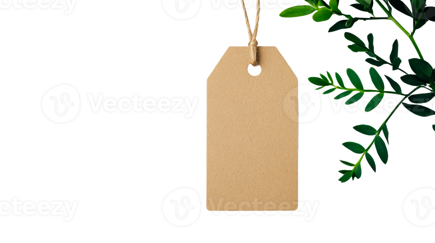 Blank tag with twig and copy space in a black backdrop, cut out transparent png