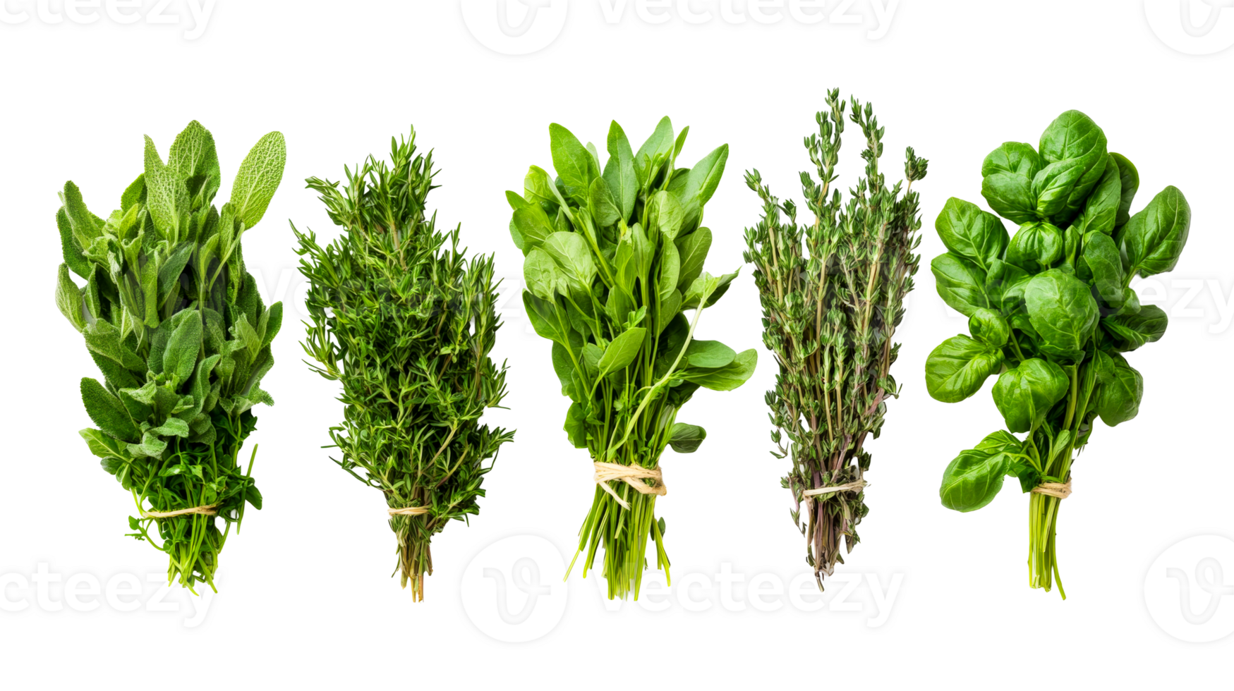 Various fresh herbs bunch on black background, cut out transparent png