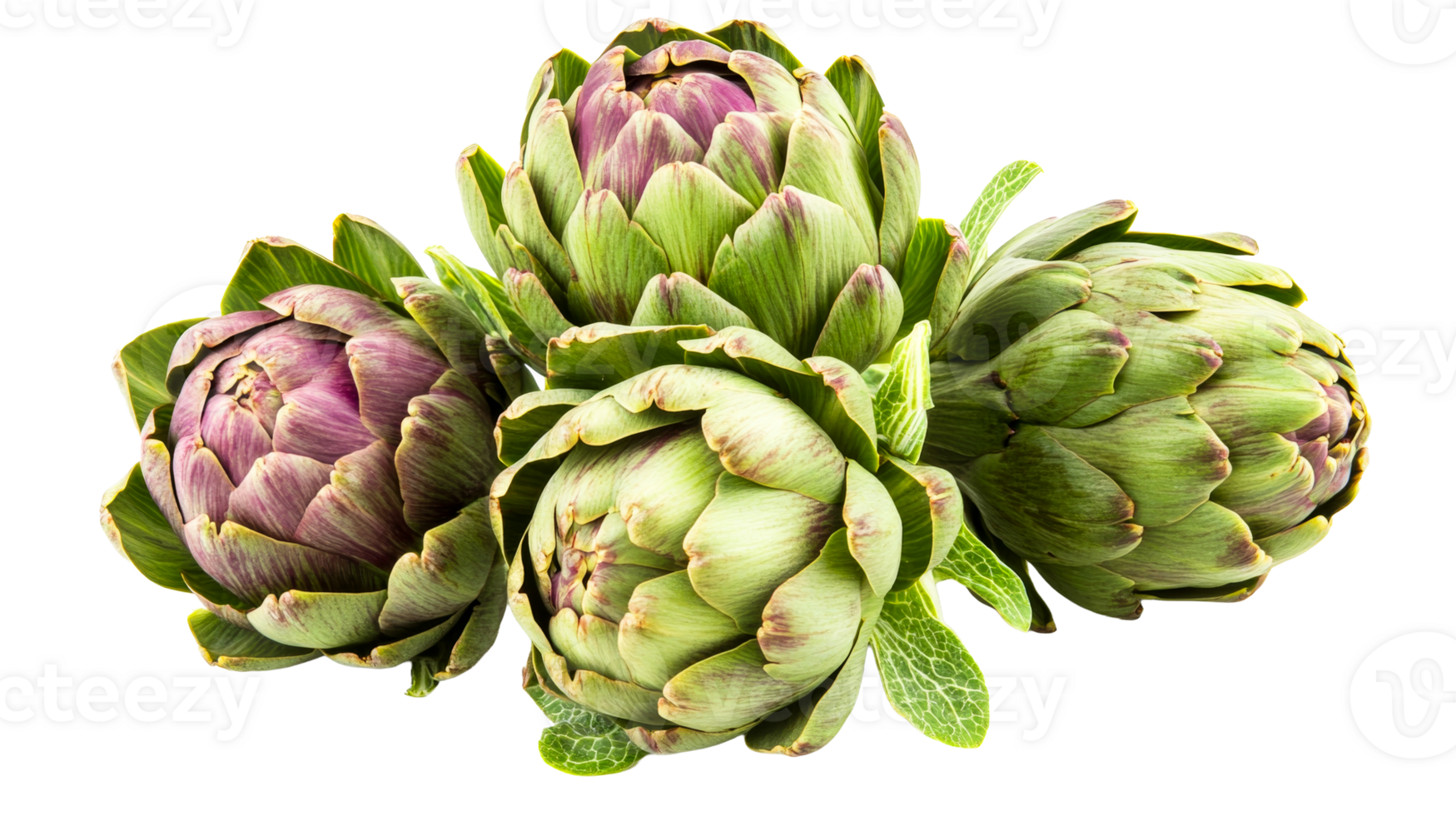 Artichokes, fresh raw vegetables close-up, cut out transparent png