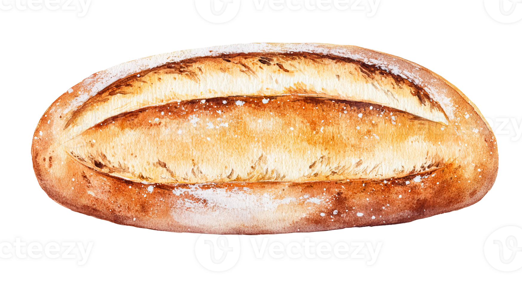 Fresh bread loaf, detailed crust texture, baked goods, cut out transparent png