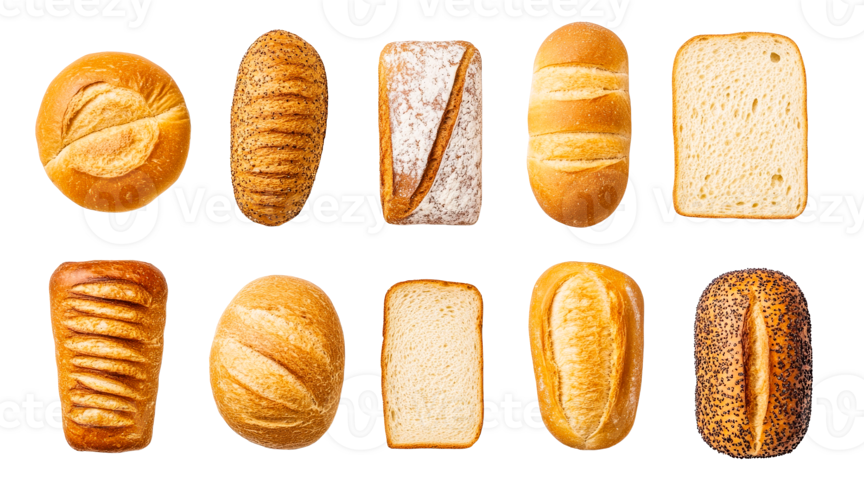 Variety of freshly baked breads, close-up studio shot, cut out transparent png