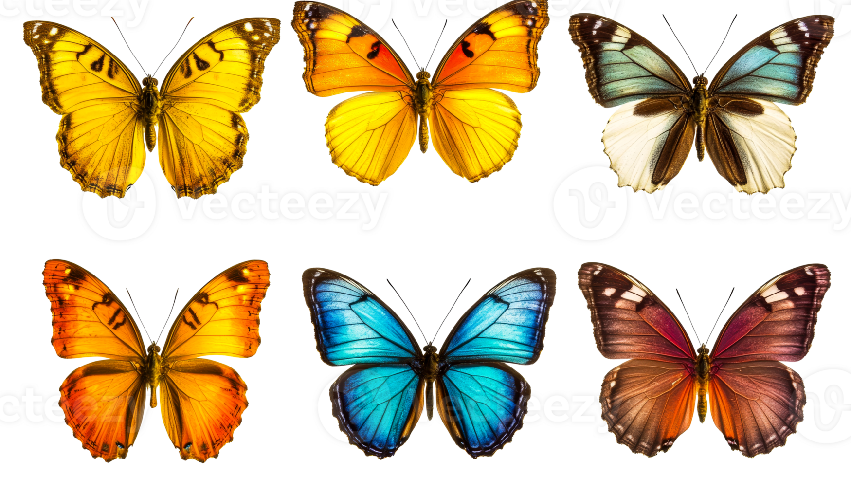 Colorful butterflies collection isolated on black background, cut out transparent png