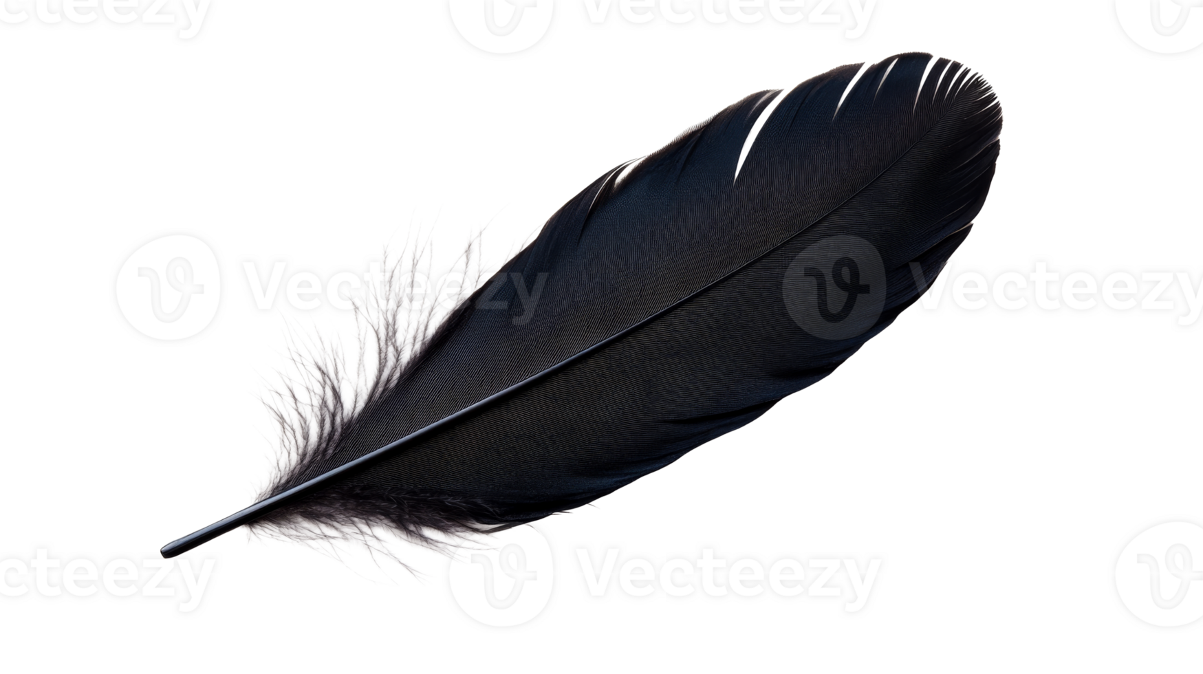 Raven feather with a complex texture and barbs, cut out transparent png