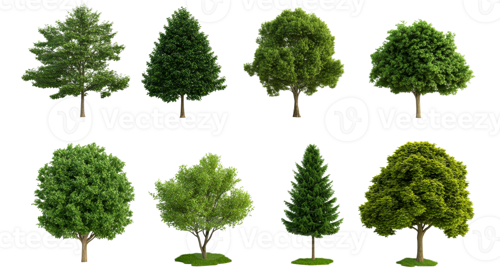 Collection of different trees, isolated for graphic design, cut out transparent png