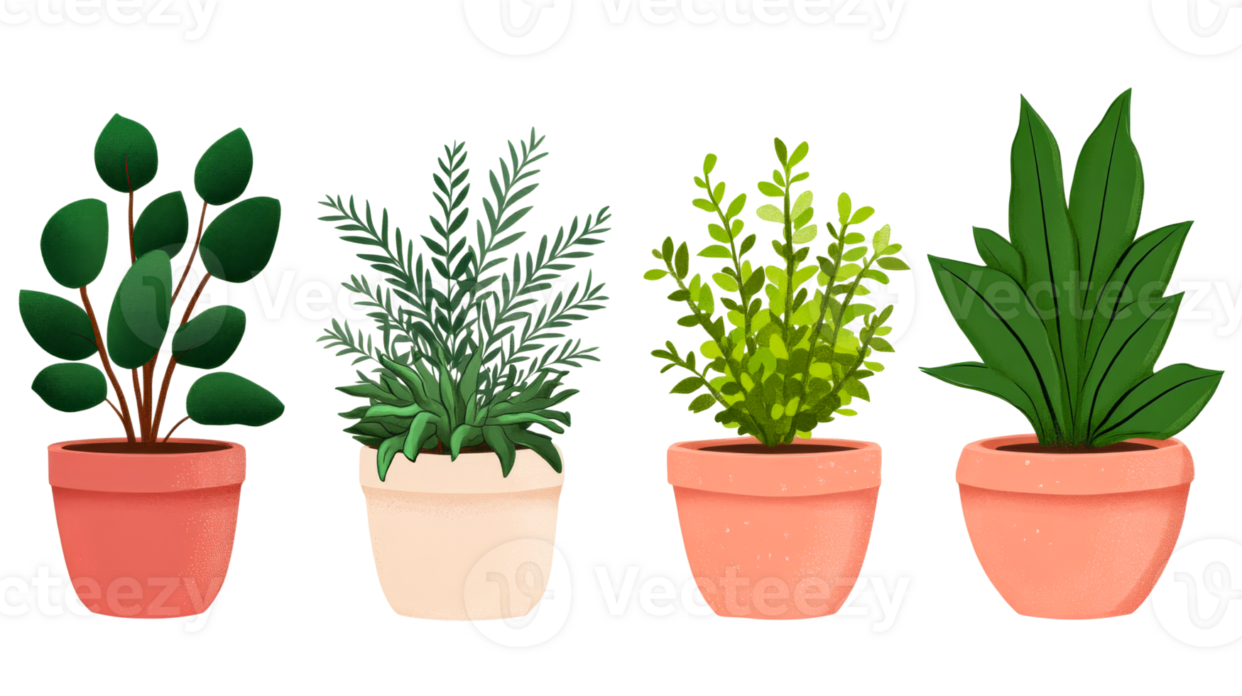 Collection of various houseplants in pots, cut out transparent png