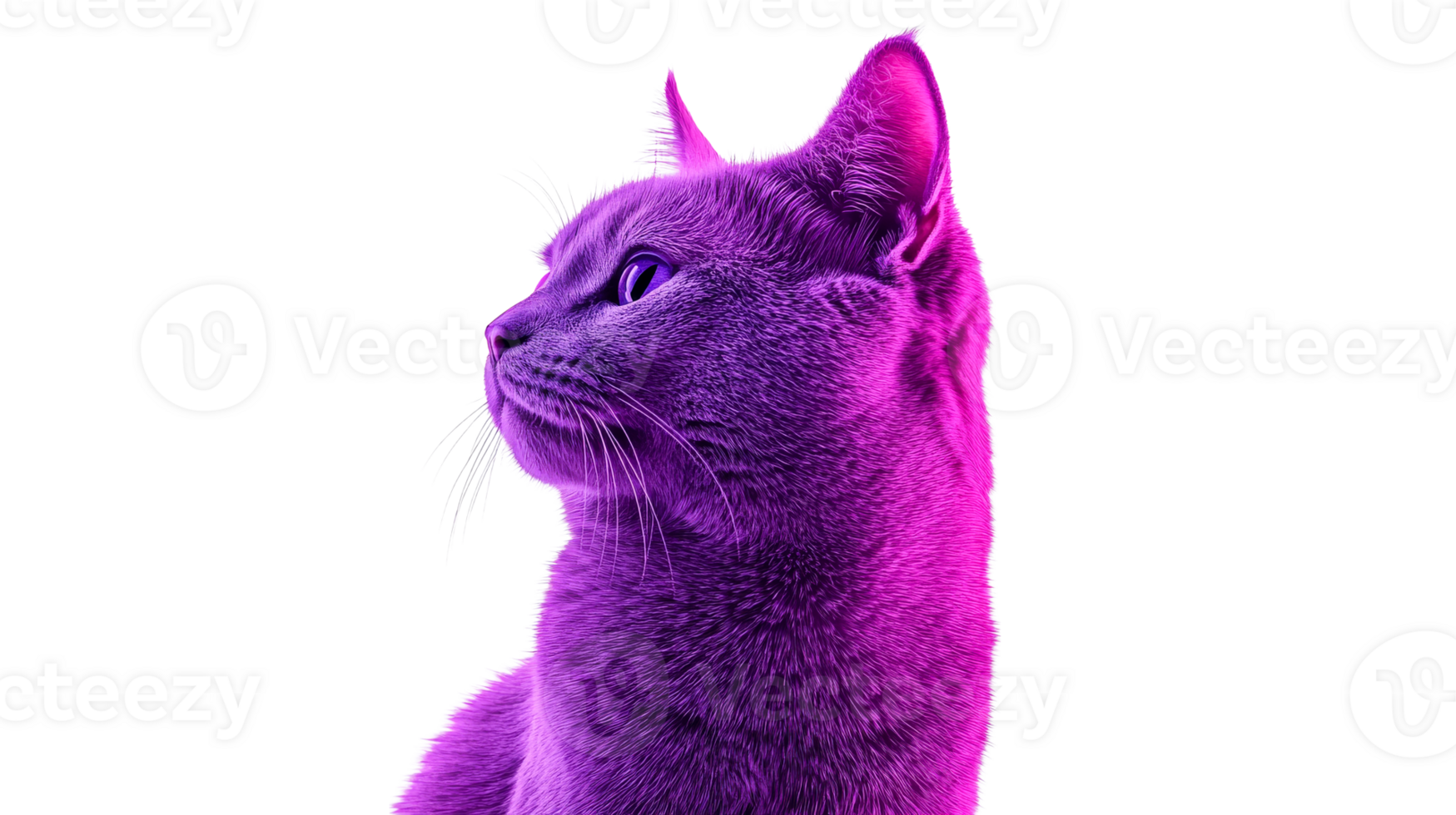 Feline portrait in neon colors, cat looking left profile, cut out transparent png