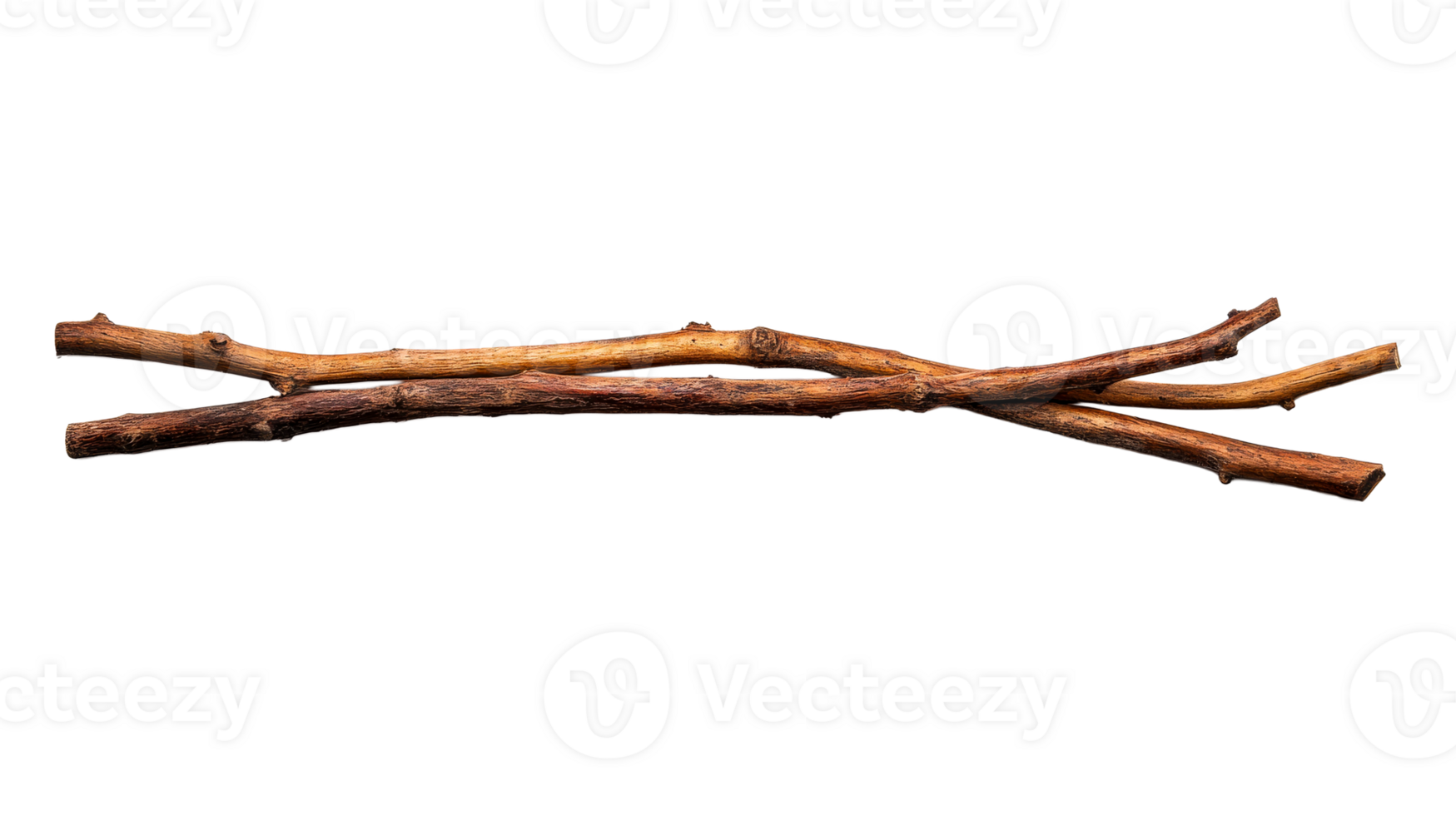Two dry wooden branches, natural decor element, cut out transparent png