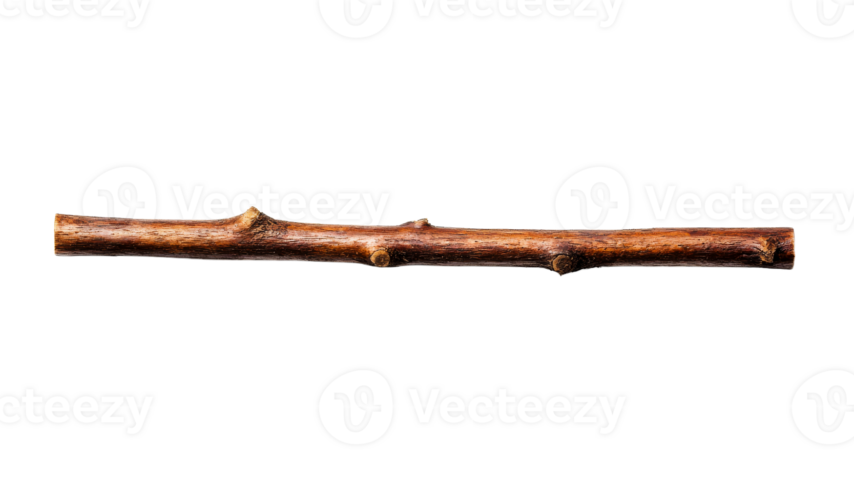 Single brown twig, detailed texture, natural branch, design element, cut out transparent png