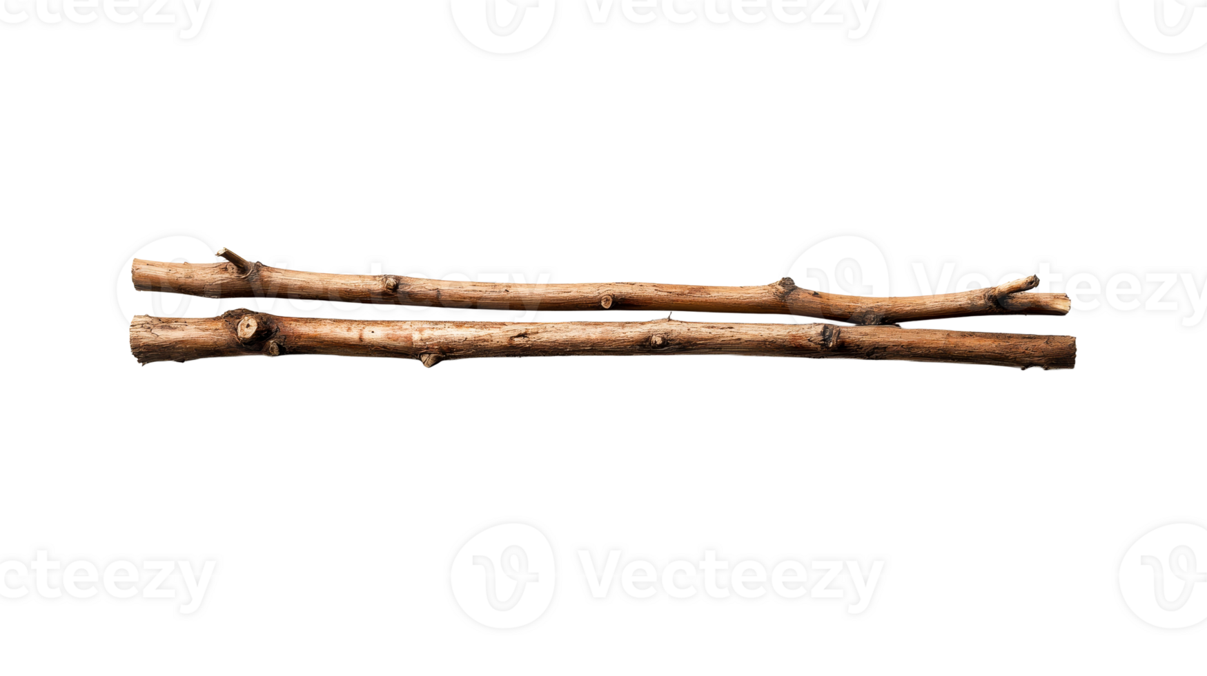 Two natural dry brown tree branches, material for crafts, cut out transparent png