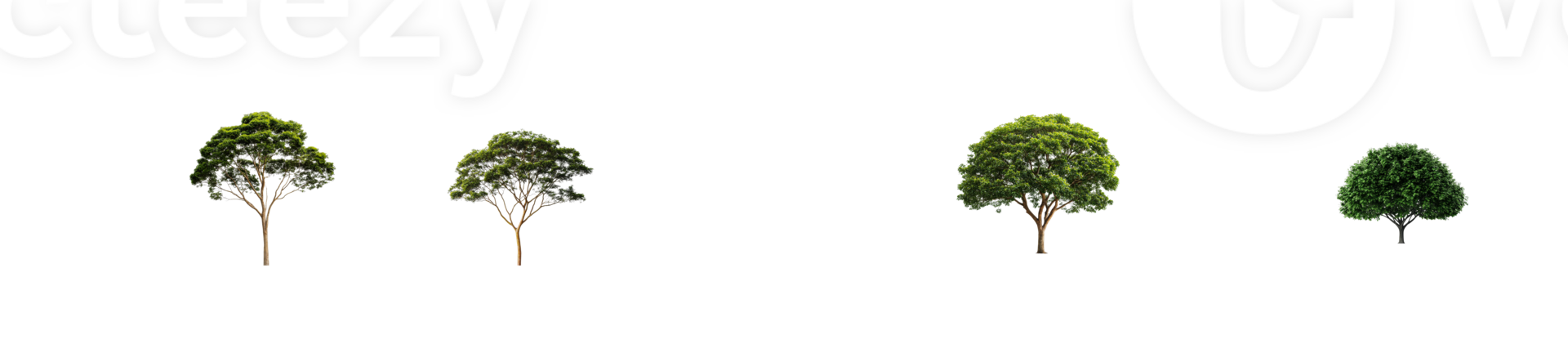 Variety of Trees against Black Backdrop, cut out transparent png