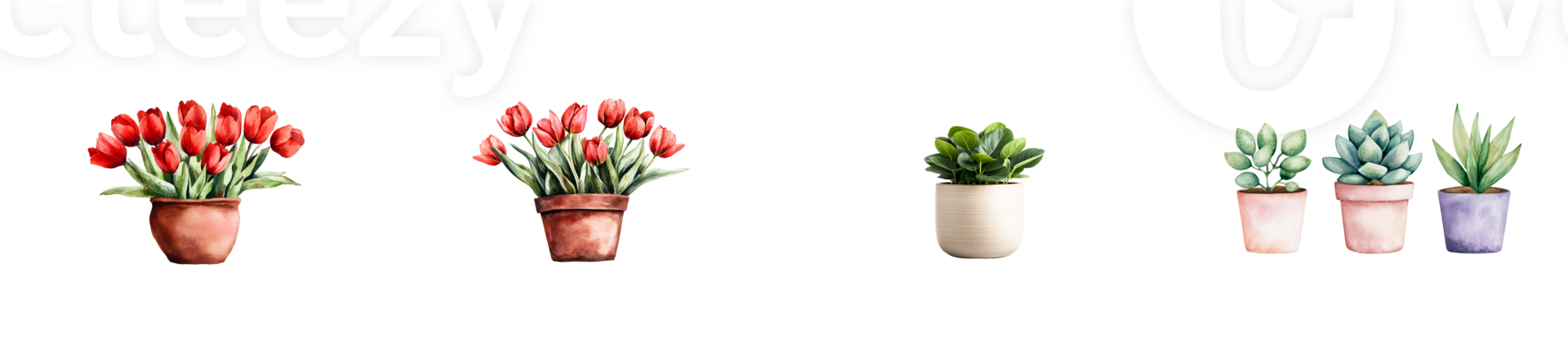 Various plants in pots watercolor set, cut out transparent png