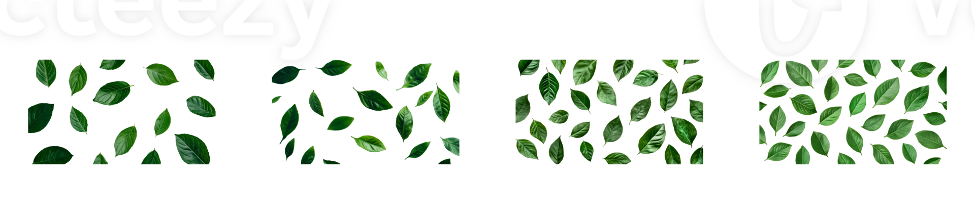 Green leaves scattered in varying densities, cut out transparent png